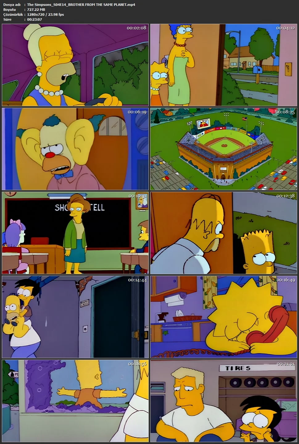the simpsons tum bolumler izle indir