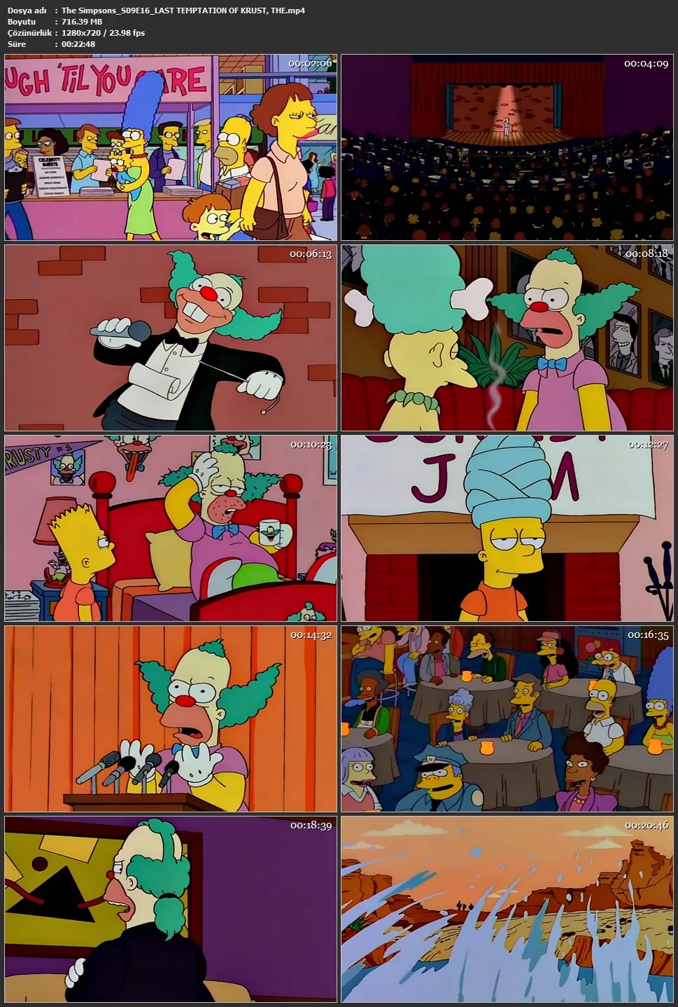 the simpsons tum bolumler izle indir